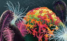 Ladda upp bild till gallerivisning, I vattnet på västkusten