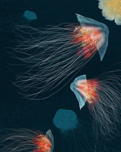 Ladda upp bild till gallerivisning, I vattnet på västkusten