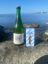 Ladda upp bild till gallerivisning, Tångbubbel och havsknäcke