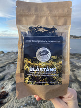 Ladda upp bild till gallerivisning, Blåstång