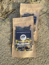 Ladda upp bild till gallerivisning, Blåstång