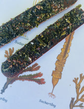 Ladda upp bild till gallerivisning, Choklad med sockertång