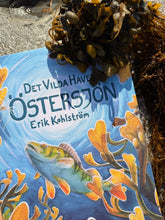 Ladda upp bild till gallerivisning, Det vilda havet: Östersjön