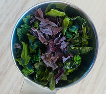 Ladda upp bild till gallerivisning, Regnbågspaketet