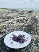 Ladda upp bild till gallerivisning, Dulse