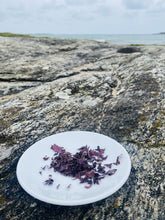 Ladda upp bild till gallerivisning, Dulse