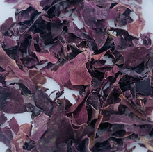 Ladda upp bild till gallerivisning, Dulse