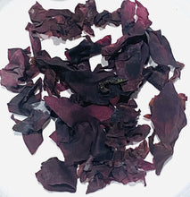 Ladda upp bild till gallerivisning, Söl