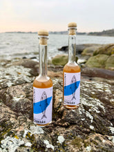 Ladda upp bild till gallerivisning, Fisksås