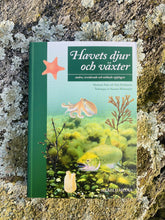 Ladda upp bild till gallerivisning, Havets djur och växter