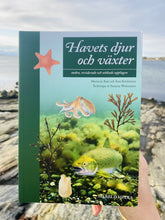 Ladda upp bild till gallerivisning, Havets djur och växter