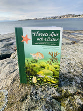 Ladda upp bild till gallerivisning, Havets djur och växter