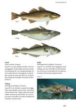 Ladda upp bild till gallerivisning, Havets djur och växter