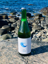 Ladda upp bild till gallerivisning, Hvonn Haf