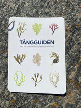 Ladda upp bild till gallerivisning, Tångguiden