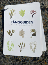 Ladda upp bild till gallerivisning, Tångguiden