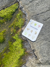 Ladda upp bild till gallerivisning, Tångguiden