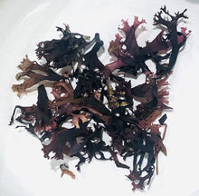 Ladda upp bild till gallerivisning, Karragentång