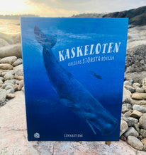 Ladda upp bild till gallerivisning, Kaskeloten - Världens största rovdjur