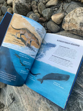 Ladda upp bild till gallerivisning, Kaskeloten - Världens största rovdjur