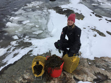 Ladda upp bild till gallerivisning, Sågtång