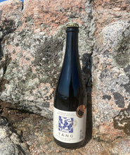 Ladda upp bild till gallerivisning, Tångbubbel och havsknäcke