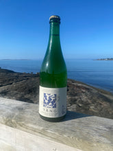 Ladda upp bild till gallerivisning, Tångbubbel och havsknäcke