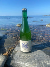 Ladda upp bild till gallerivisning, Tångbubbel och havsknäcke