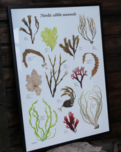 Ladda upp bild till gallerivisning, Poster med tång