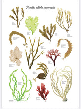 Ladda upp bild till gallerivisning, Poster med tång