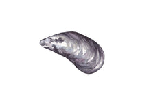 Ladda upp bild till gallerivisning, Postrar med havets djur