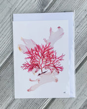 Ladda upp bild till gallerivisning, Vykort med pressad tång