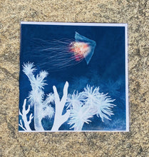 Ladda upp bild till gallerivisning, Kort med havets djur