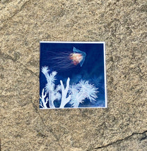 Ladda upp bild till gallerivisning, Kort med havets djur