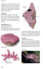 Ladda upp bild till gallerivisning, Havets djur och växter