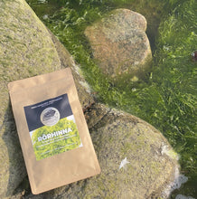 Ladda upp bild till gallerivisning, Rörhinna från Bohuslän