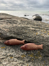 Ladda upp bild till gallerivisning, Salta sillar i choklad