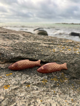 Ladda upp bild till gallerivisning, Salta sillar i choklad