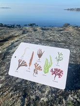 Ladda upp bild till gallerivisning, Serveringsbräda med tång