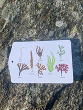 Ladda upp bild till gallerivisning, Serveringsbräda med tång