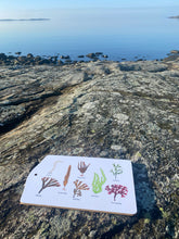 Ladda upp bild till gallerivisning, Serveringsbräda med tång