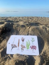 Ladda upp bild till gallerivisning, Serveringsbräda med tång