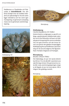 Ladda upp bild till gallerivisning, Havets djur och växter