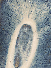 Ladda upp bild till gallerivisning, Blåmussla keramikskål