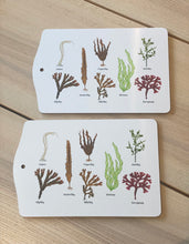 Ladda upp bild till gallerivisning, Serveringsbräda med tång