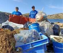 Ladda upp bild till gallerivisning, CleanSea armband original