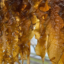 Ladda upp bild till gallerivisning, Noble Crane Tång