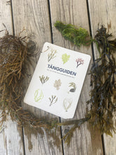 Ladda upp bild till gallerivisning, Tångguiden