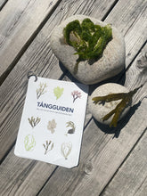 Ladda upp bild till gallerivisning, Tångguiden