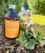 Ladda upp bild till gallerivisning, Växtnäring med tång